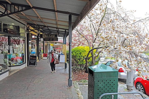 Blue Mountains Highlights & Wildlife Park - Attractions Sydney 2
