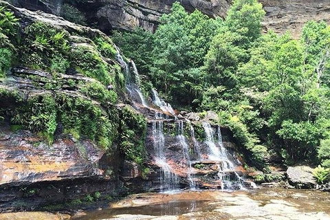 Blue Mountains Highlights & Wildlife Park - Attractions Sydney 8