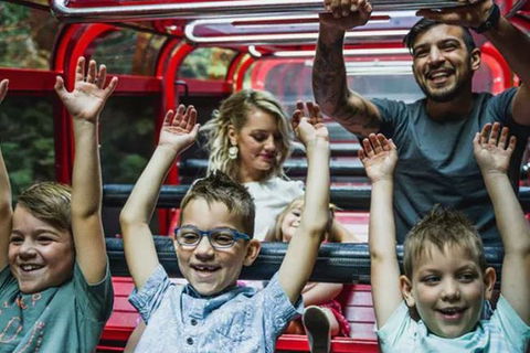 Blue Mountains Highlights, Wildlife Park And Scenic World Full Day Private Tour - Attractions Sydney 5