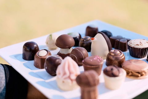 Hunter Valley Highlights Private Wine Tour From Sydney - Attractions Sydney 7