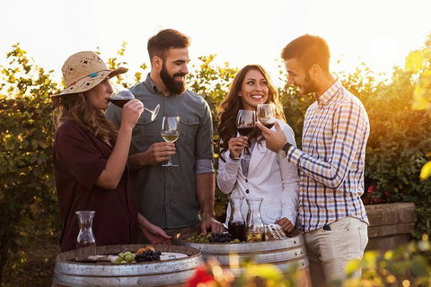 Hunter Valley Highlights Private Wine Tour From Sydney - Attractions Sydney 0