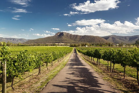 Hunter Valley Highlights Private Wine Tour From Sydney - Attractions Sydney 2