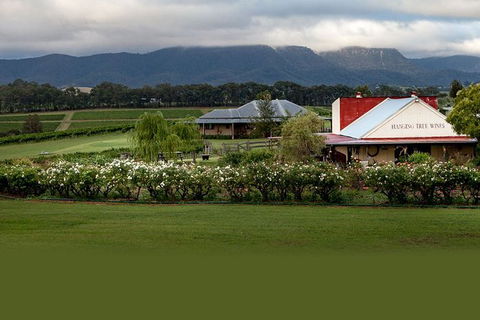 Hunter Valley Highlights Private Wine Tour From Sydney - Attractions Sydney 5