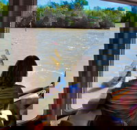 Jumping Crocs  Nature Adventure Cruise from Darwin - Attractions Sydney