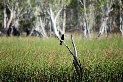 ETHICAL ADVENTURES - Dry Season Litchfield Region, Max 10 Guests - Attractions Sydney 2