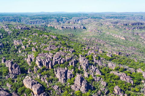 Jabiru 30 Minute Scenic Flight - Attractions Sydney 1