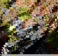 Ethical Adventures - Pure Litchfield - Attractions Sydney