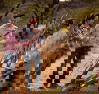 Karrke Aboriginal Cultural Experience - Attractions Sydney