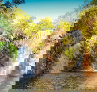 Litchfield National Park Waterfalls Day Trip From Darwin Including Termite Mounds and Lunch - Attractions Sydney