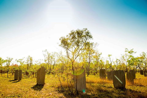 Litchfield National Park Waterfalls Day Trip From Darwin Including Termite Mounds And Lunch - Attractions Sydney 1