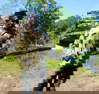 Kakadu  Arnhem Land tour Camping tour - Attractions Sydney