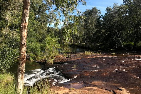 4-Hour Groote Eylandt Explorer 4WD Tour - Attractions Sydney 5