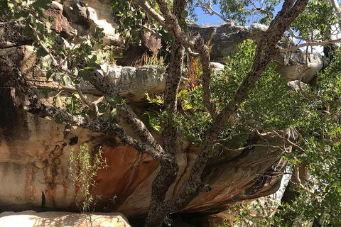4-Hour Groote Eylandt Explorer 4WD Tour - Attractions Sydney 1