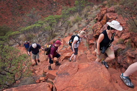 Uluru, Kata Tjuta And Kings Canyon Camping Safari From Alice Springs - Attractions Sydney 3