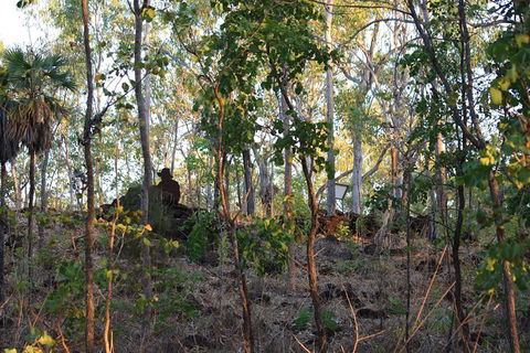 World War II Beyond Darwin - Attractions Sydney 0