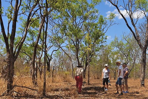 World War II Beyond Darwin - Attractions Sydney 4