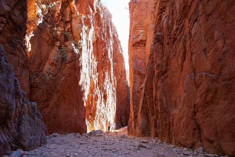 Best Of Alice Springs Full Day Tour - Attractions Sydney 6