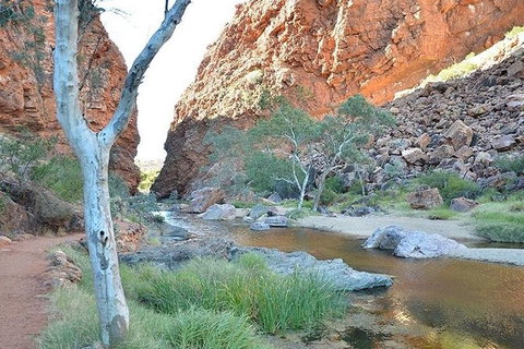 Alice Springs, Uluru Ayers Rock & Kings Canyon 8 Days Touring Package - Attractions Sydney 2