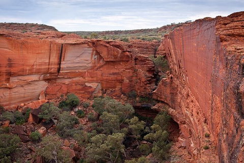 Uluru, Kata Tjuta And Kings Canyon Camping Safari From Ayers Rock - Attractions Sydney 0