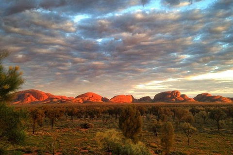 5-Hour Kata Tjuta Sunrise Tour From Ayers Rock With Breakfast - Attractions Sydney 0