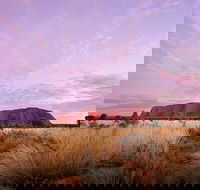 Sunset Australian Barbecue Dinner in Uluru - Attractions Sydney