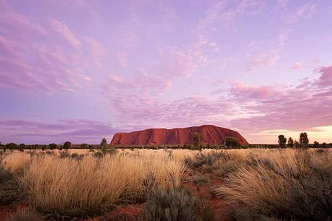Sunset Australian Barbecue Dinner In Uluru - Attractions Sydney 0