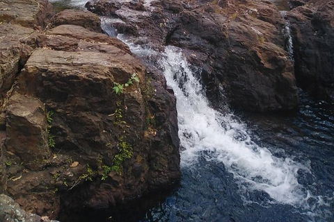 Full-Day Private Guided Tour To Litchfield National Park - Attractions Sydney 8