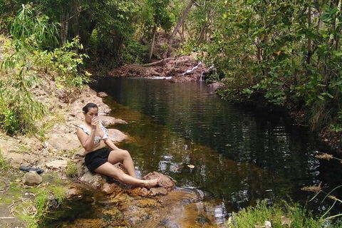 Full-Day Private Guided Tour To Litchfield National Park - Attractions Sydney 11