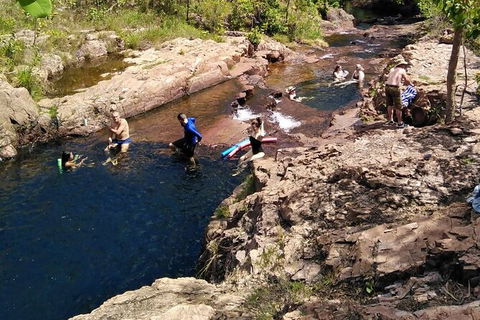 Full-Day Private Guided Tour To Litchfield National Park - Attractions Sydney 12