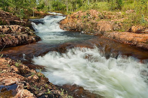 Full-Day Private Guided Tour To Litchfield National Park - Attractions Sydney 3