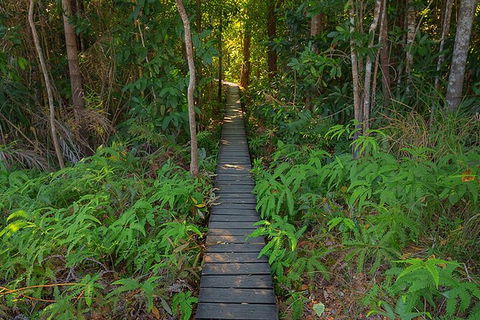 Full-Day Private Guided Tour To Litchfield National Park - Attractions Sydney 7