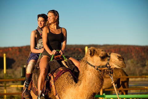 4 Day/3 Night Perentie Dreaming Safari - Attractions Sydney 1