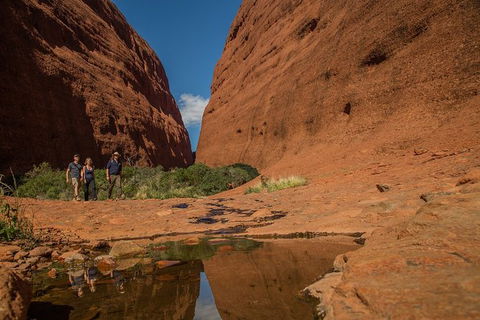 4 Day/3 Night Perentie Dreaming Safari - Attractions Sydney 3