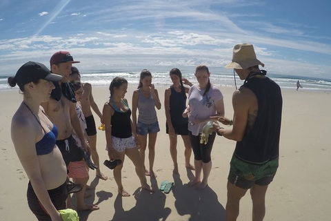 Half Day Dolphin Kayaking And Snorkeling Tour - Attractions Sydney 6