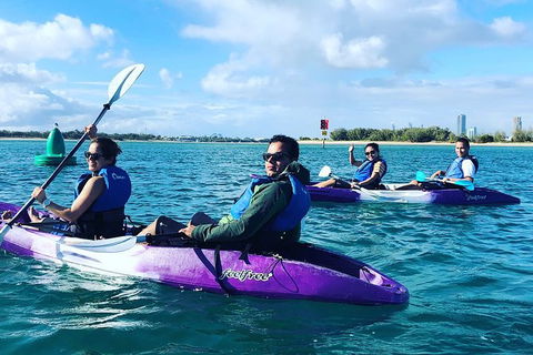 Half Day Dolphin Kayaking And Snorkeling Tour - Attractions Sydney 5
