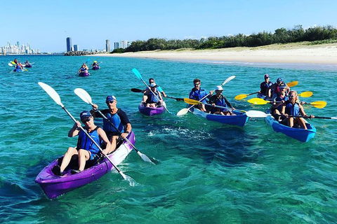 Half Day Dolphin Kayaking And Snorkeling Tour - Attractions Sydney 11
