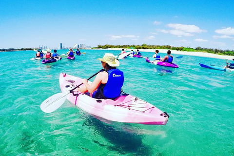 Half Day Dolphin Kayaking And Snorkeling Tour - Attractions Sydney 0