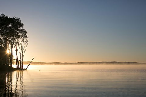 Serenity Cruise To Australia\'s Everglades - Attractions Sydney 1