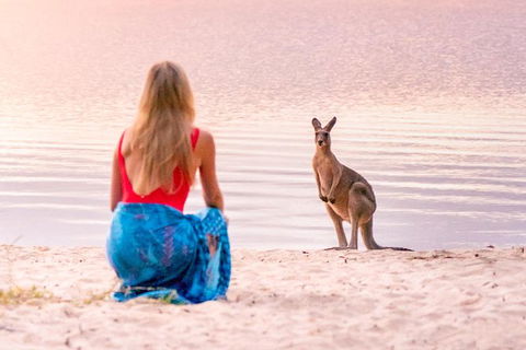 Serenity Cruise To Australia\'s Everglades - Attractions Sydney 10