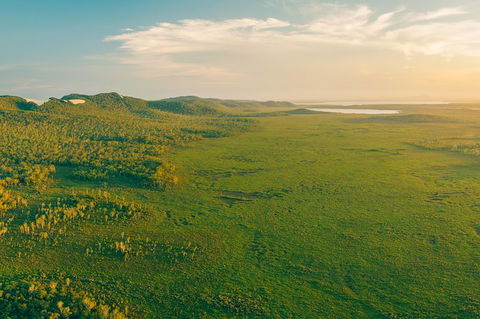 Serenity Cruise To Australia\'s Everglades - Attractions Sydney 6