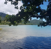 Full Day Tour in the Daintree - Attractions Sydney