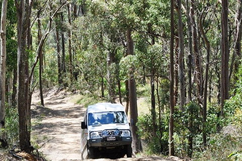 Gold Coast Lamington National Park And Tamborine Mountain 4WD Ecotour - Attractions Sydney 1
