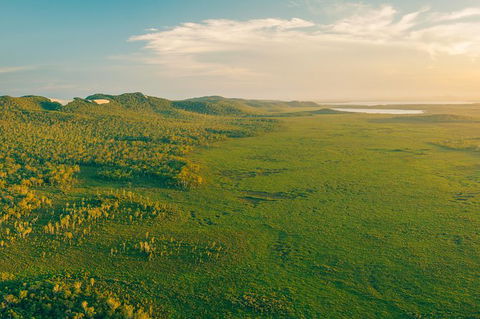 Everglades Eco Safari To Australia\'s Everglades - Attractions Sydney 14