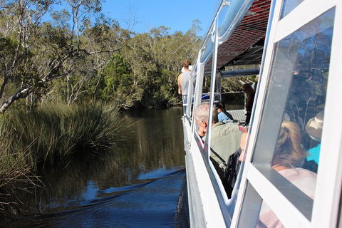 Everglades Eco Safari To Australia\'s Everglades - Attractions Sydney 3