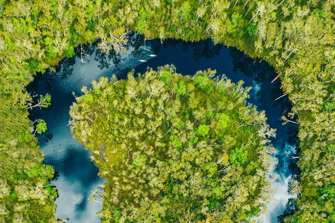 Everglades Eco Safari To Australia\'s Everglades - Attractions Sydney 8
