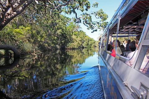 Everglades Eco Safari To Australia\'s Everglades - Attractions Sydney 4