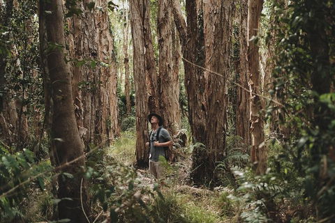 Everglades Eco Safari To Australia\'s Everglades - Attractions Sydney 7