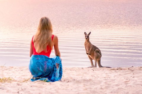 Everglades Eco Safari To Australia\'s Everglades - Attractions Sydney 1