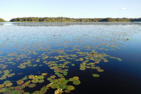 Everglades Eco Safari To Australia\'s Everglades - Attractions Sydney 5