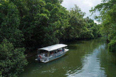 Daintree Rainforest, Cape Tribulation And Bloomfield Track Small Group Tour - Attractions Sydney 5